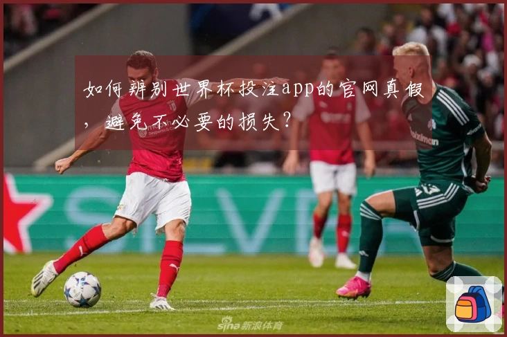如何辨别世界杯投注app的官网真假，避免不必要的损失？