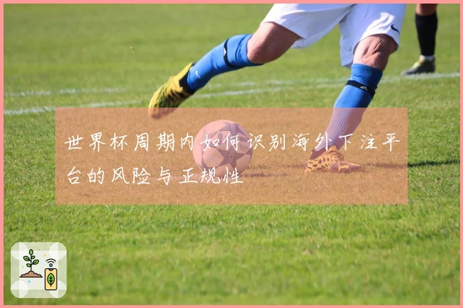 世界杯周期内如何识别海外下注平台的风险与正规性