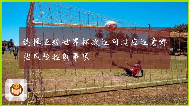 选择正规世界杯投注网站应注意哪些风险控制事项