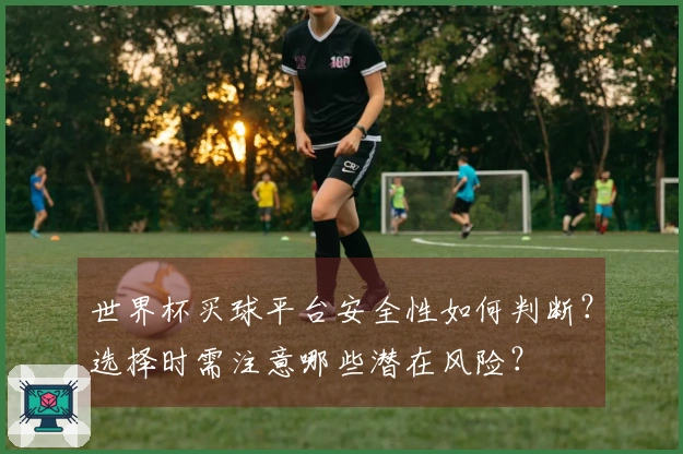 世界杯买球平台安全性如何判断？选择时需注意哪些潜在风险？