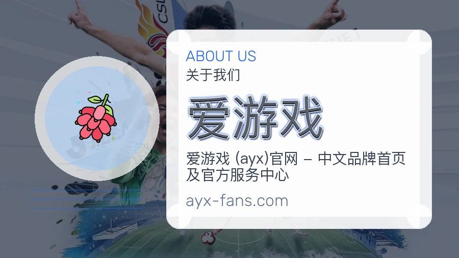爱游戏关于平台与用户服务展示